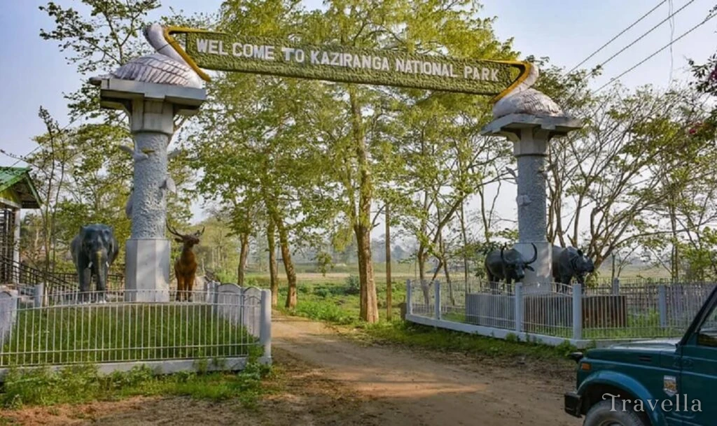 Kohora, Kaziranga